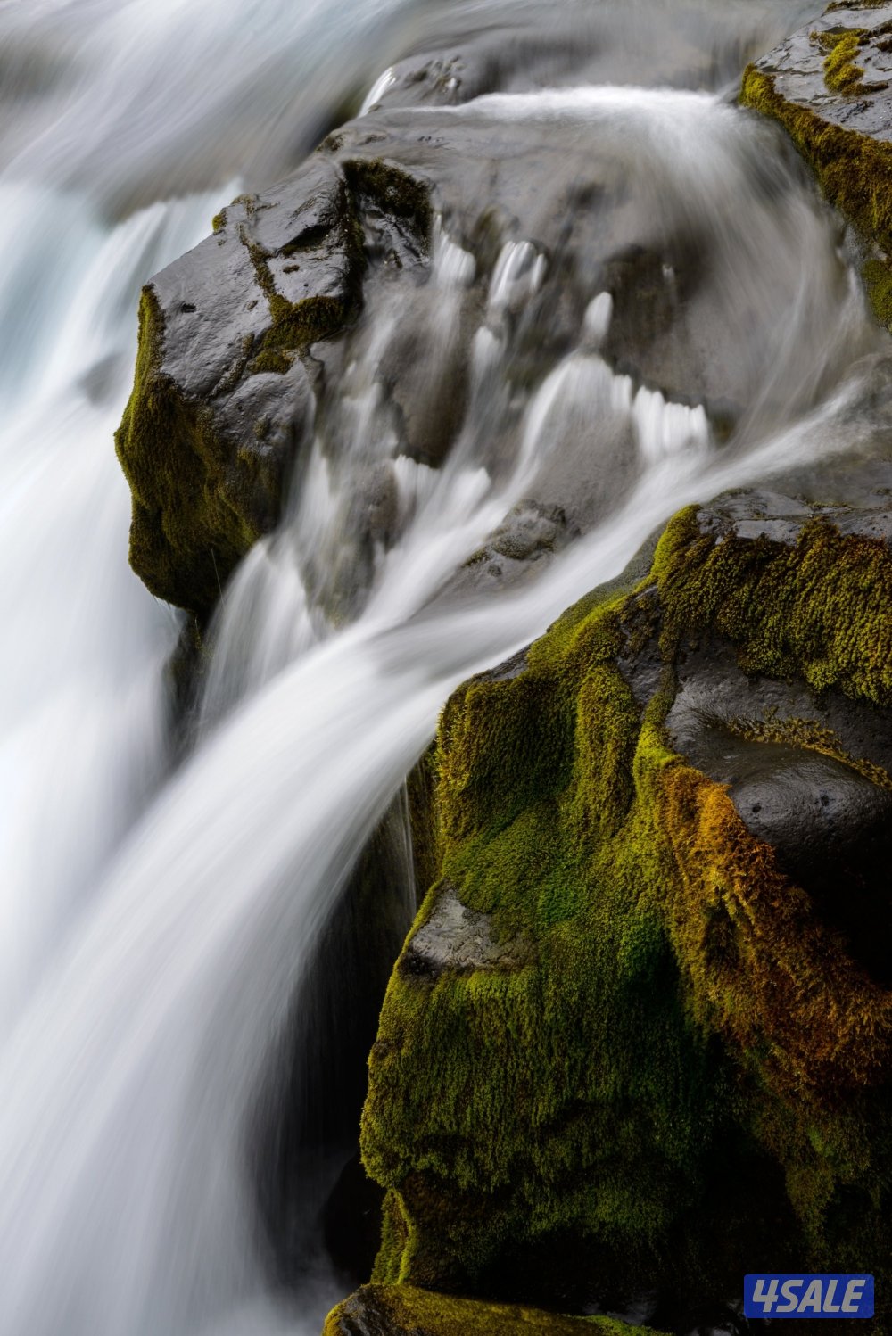 Test video 54