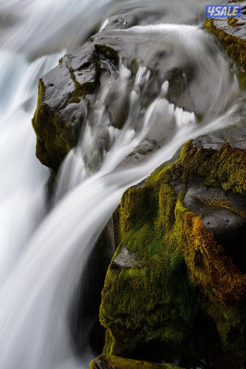 Test video 63