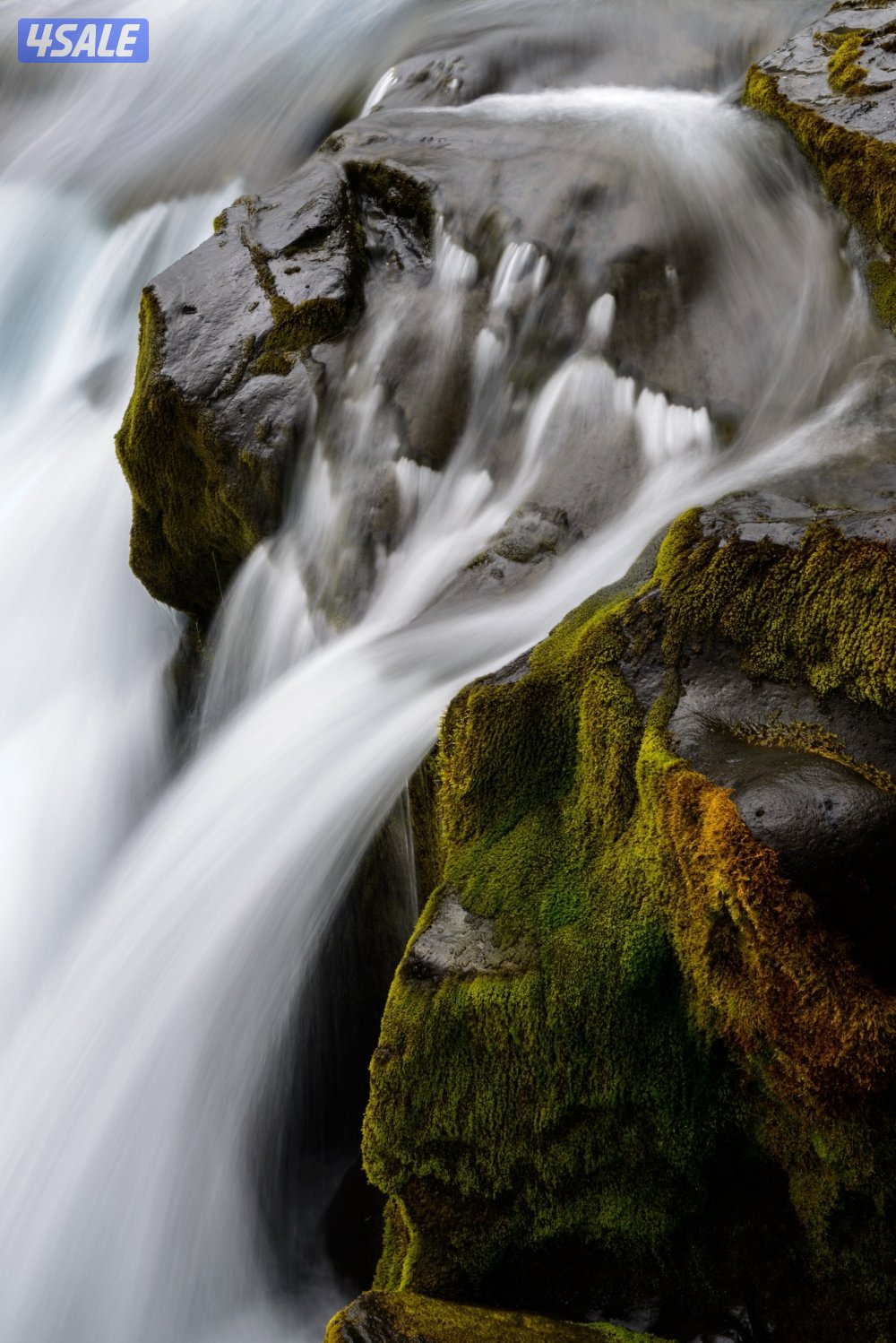 Test video 71