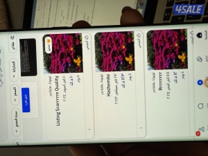 listing img